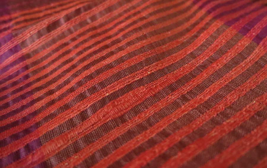 Waraseoni Sarees: History and Heritage of Madhya Pradesh